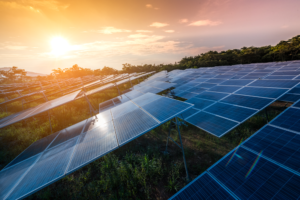 Solarbeschäftigung sinkt im zweiten Jahr unter Trumpf – @shutterstock | Love Silhouette