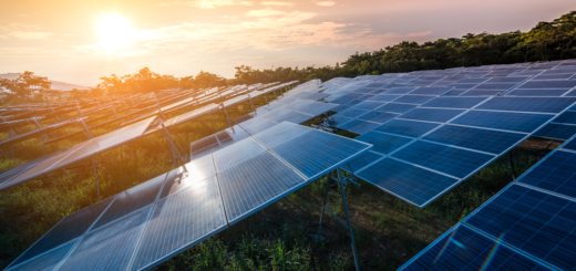 太陽光発電の雇用はトランプ政権2年目で減少 – @shutterstock | ラブシルエット 