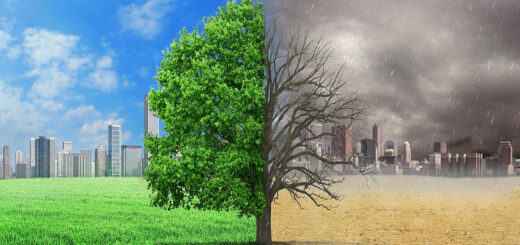 Klimaschutz: Theorie und Praxis - Bild: @shutterstock|studiovin