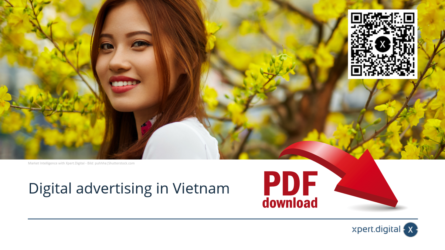 Geschützt: Digital advertising in Vietnam