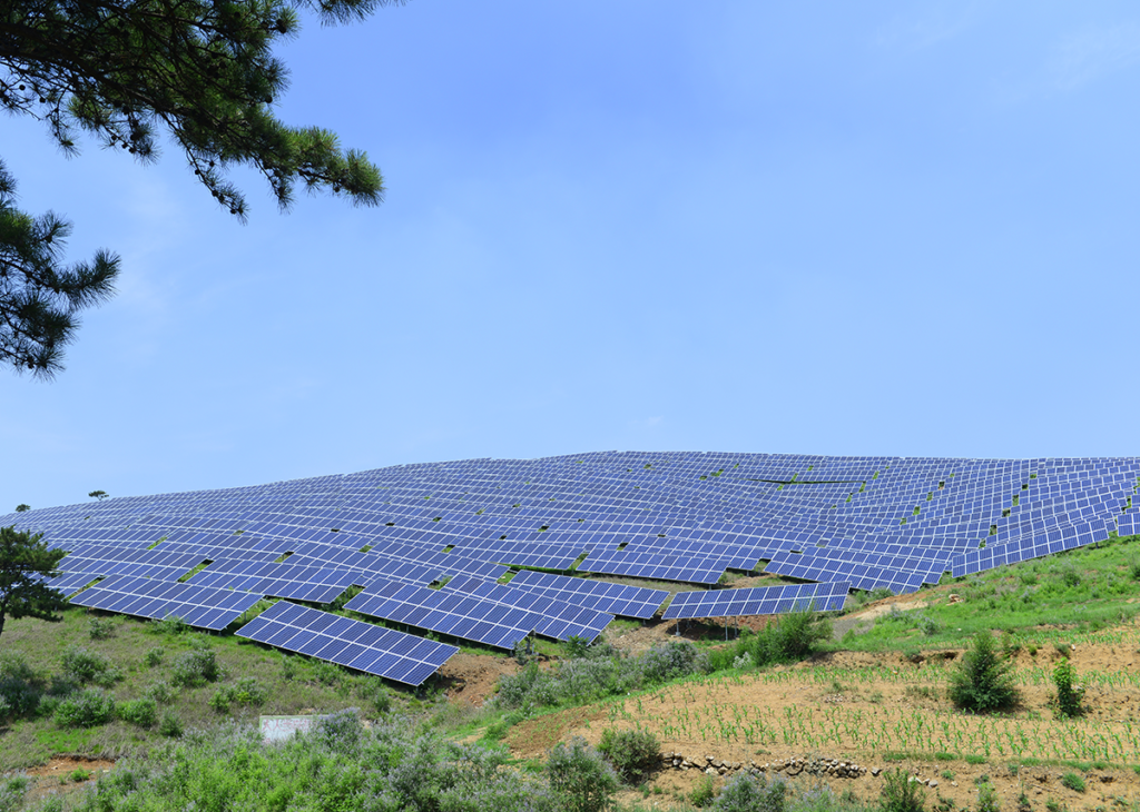 Solar Freilandanlage planen