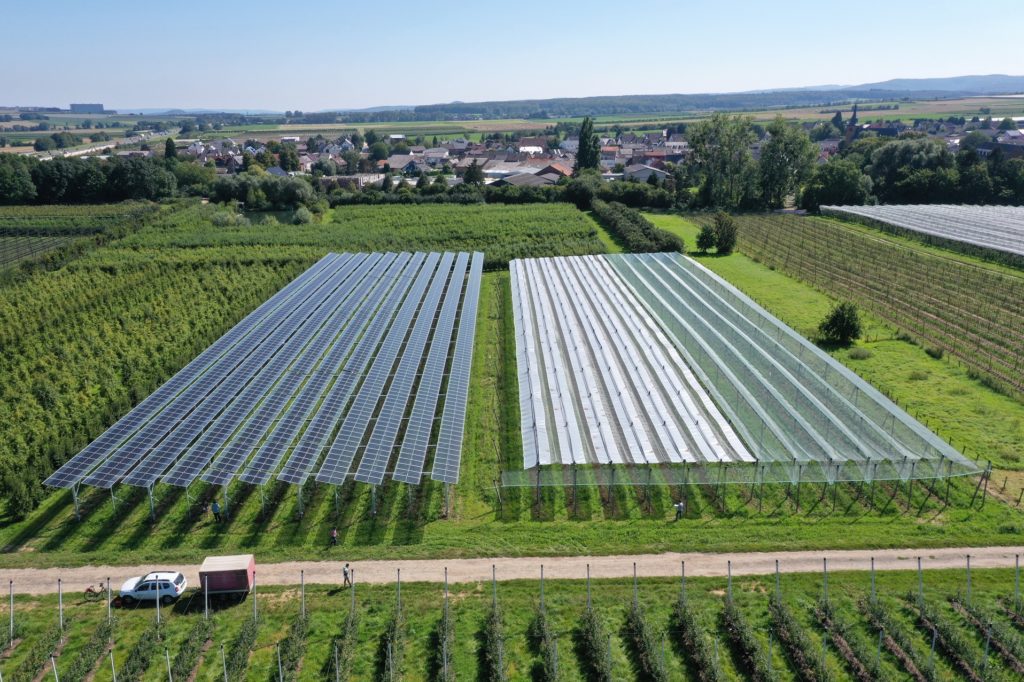 Im Projekt »Agri-PV Obstbau« werden verschiedene Solarmodul-Technologien (links) und herkömmliche Kulturenschutzsysteme (rechts) getestet.