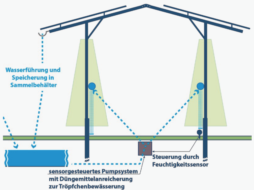Schematische Darstellung des Bewässerungssystems einer AgriPV Anlage