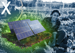 Baufirma und Solarfirma für Agri-Photovoltaik (Agrivoltaics)
