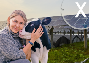 Niedersachsen Agri-Photovoltaik Baufirma und Solarfirma für Bau & Montage