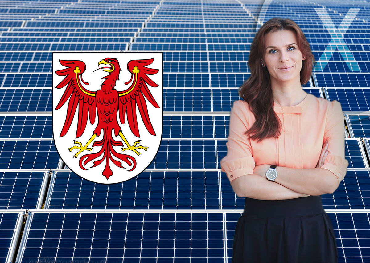 Solardachpflicht in Brandenburg: Für 2024 Solaranlagen-Pflicht auf Fabriken und Bürogebäuden?