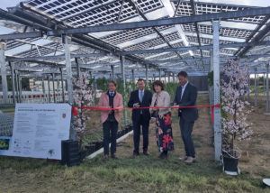 Agri -PV Heuchlingen – доктор Дітер Бланкенхорн, директор Лвво, міністр Пітер Хаук, державний секретар Гізела Спелт та Тімо Фрей, мер міста Бадріхшалл