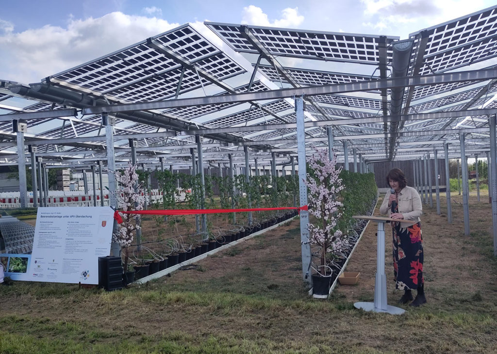 Agri-Photovoltaik: Landwirtschaft und Energieerzeugung im Einklang - Staatssekretärin Gisela Splett