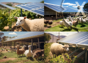 Solarparks, Solarparkplätze u.a. - Die Stromautobahn für Solarriesen: Effiziente Netzeinbindung als Grundstein für Solarprojekte