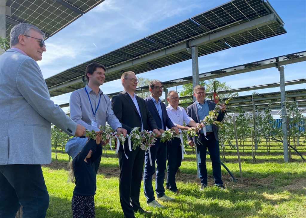Feierliche Eröffnung der fünften Anlage der "Modellregion Agri-Photovoltaik für Baden-Württemberg" auf dem Obsthof Vollmer in Oberkirch-Nussbach mit Staatssekretär Dr. Andre Baumann (3.v.r.)