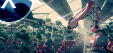 Robot na sklizeň jahod (symbolický obrázek) v solárním skleníku s poloprůhlednými solárními panely jako střechou