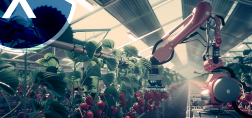 Ernteroboter für Erdbeeren (Symbolbild) in einem Solar-Gewächshaus mit semitransparenten Solarpanels als Dach