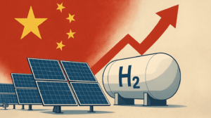 Новый Китай 