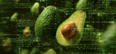 Проект Avocado в области ИИ: отход Meta от открытого стандарта и начало новой доктрины в сфере ИИ?