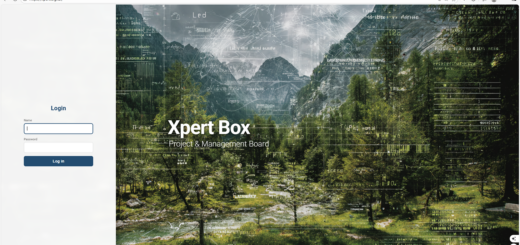 Die „Schatten-IT“ Strategie mit der Xpert Box | Hidden Champions in der Falle: Wenn Enterprise-Software zur Innovationsbremse wird
