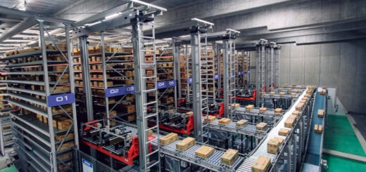 Daifuku, Daiichi Storehouse & Refrigeration: come un ingegnoso approccio ibrido sta salvando dal collasso la logistica degli alimenti surgelati