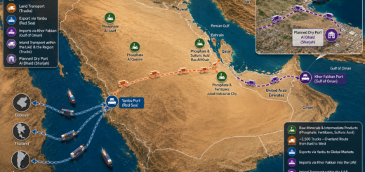 Das logistische Wunder am Golf: Wie Saudi-Arabien und die VAE die Hormus-Blockade umgehen – Trucks und Häfen im Turbomodus