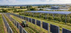 Agri-PV: Deutschlands Solarproblem ist nicht Platzmangel, sondern die Unfähigkeit, Flächen mehrfach zu nutzen