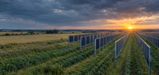 Next2Sun in der Insolvenz: Eine Warnung für die deutsche Energiewende